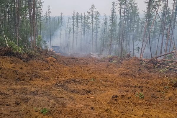 Cost of Hill Clearing in Rockwall