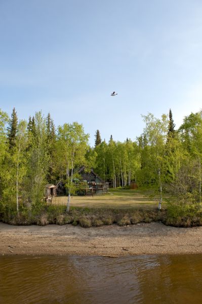 Cost of Waterfront Land Clearing in Rockwall