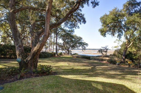 Cost of Lakefront Property Clearing in Rockwall